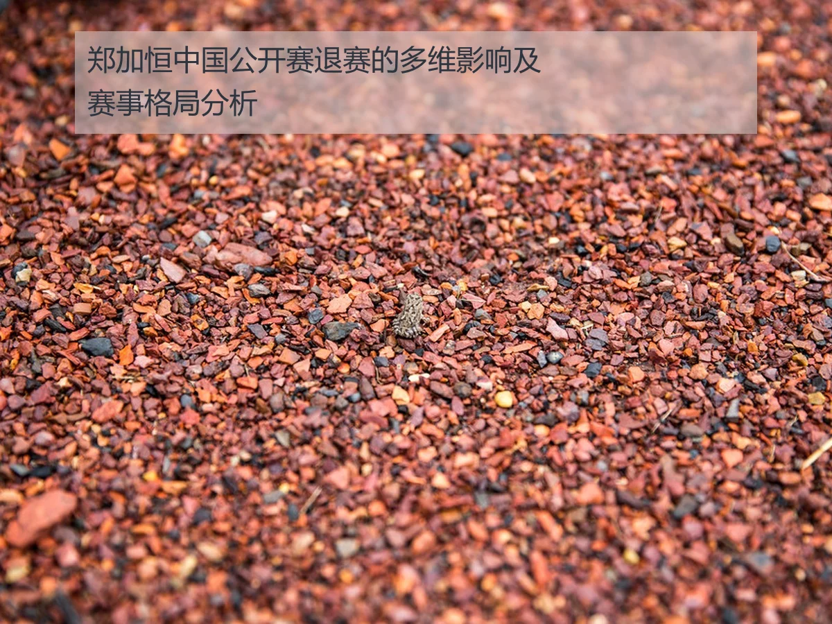 郑加恒中国公开赛退赛的多维影响及赛事格局分析